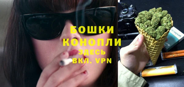 молекула духа Богородицк
