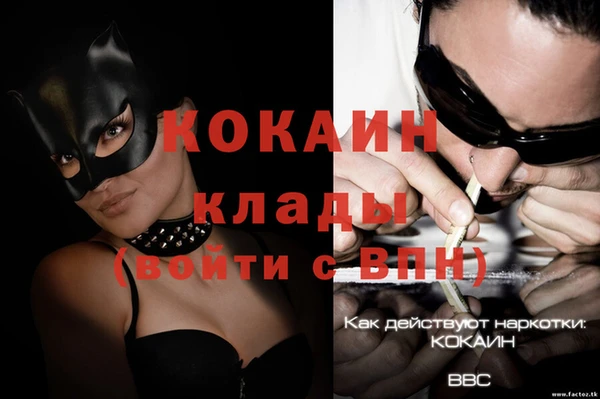 молекула духа Богородицк