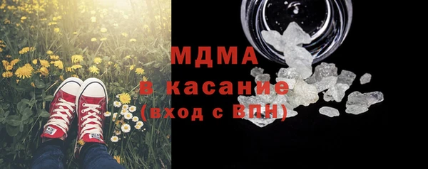 молекула духа Богородицк