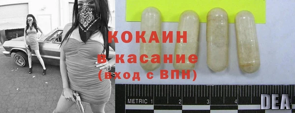 молекула духа Богородицк