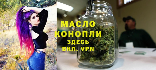молекула духа Богородицк
