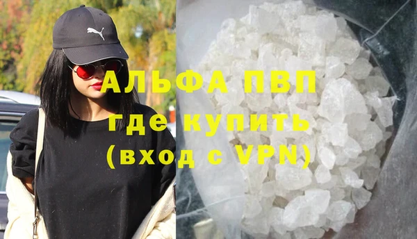 молекула духа Богородицк