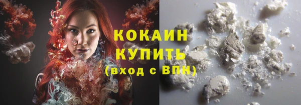 молекула духа Богородицк