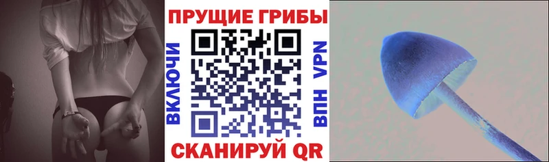 Галлюциногенные грибы прущие грибы  Малмыж 